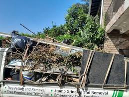 Best Recycling Services for Junk  in Statesville, NC